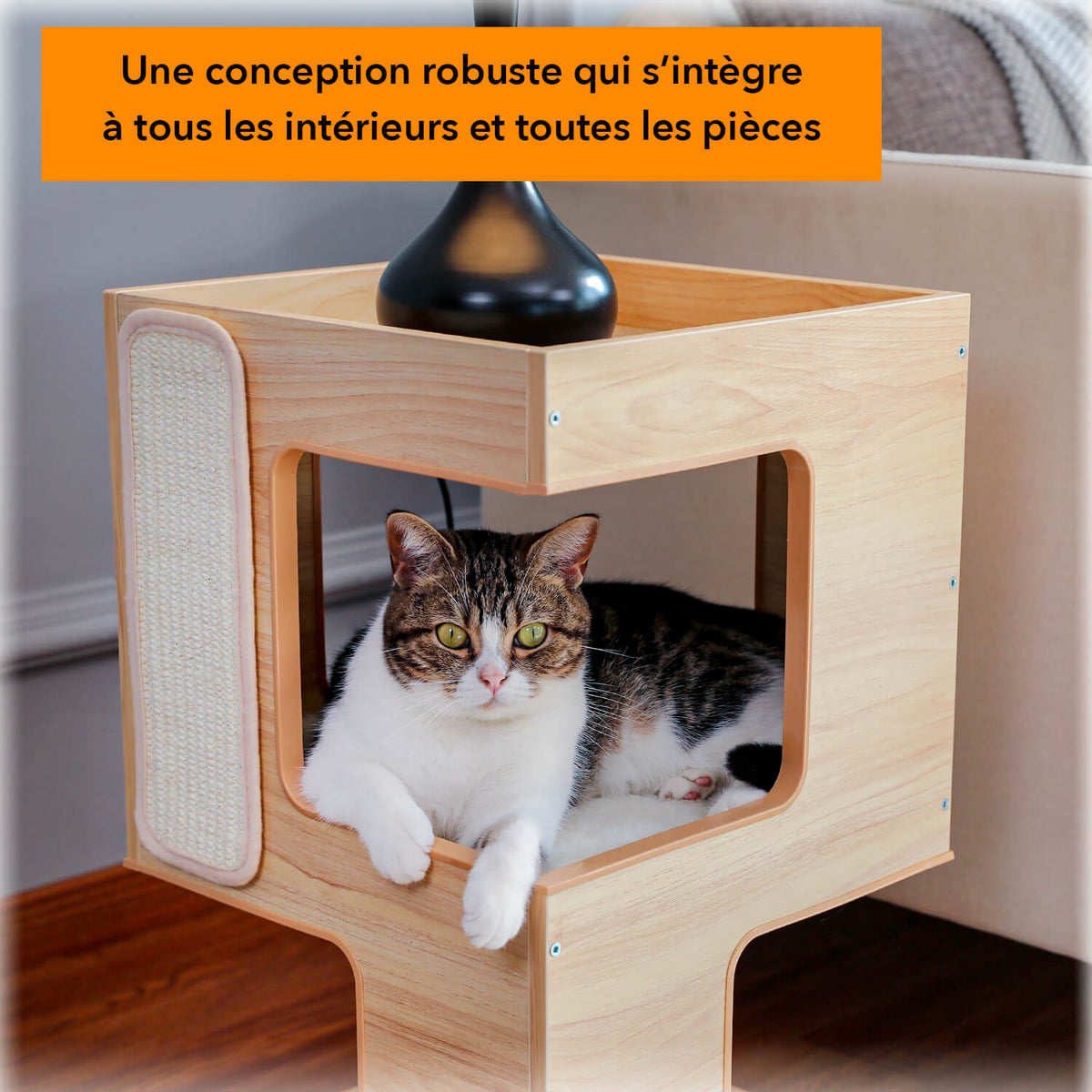 arbre à chat solide