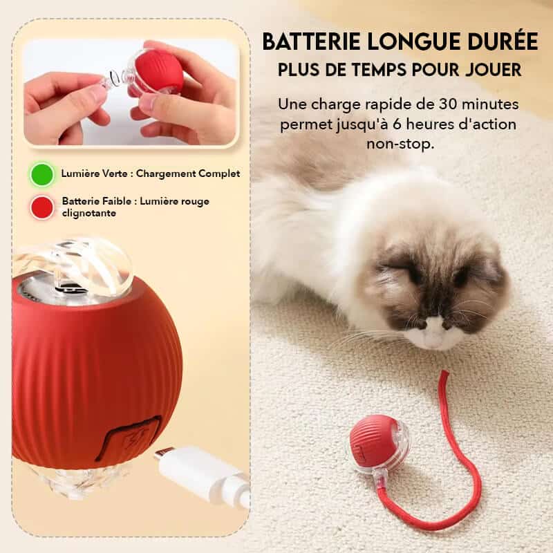balle-interactive-intelligente-longue-duree