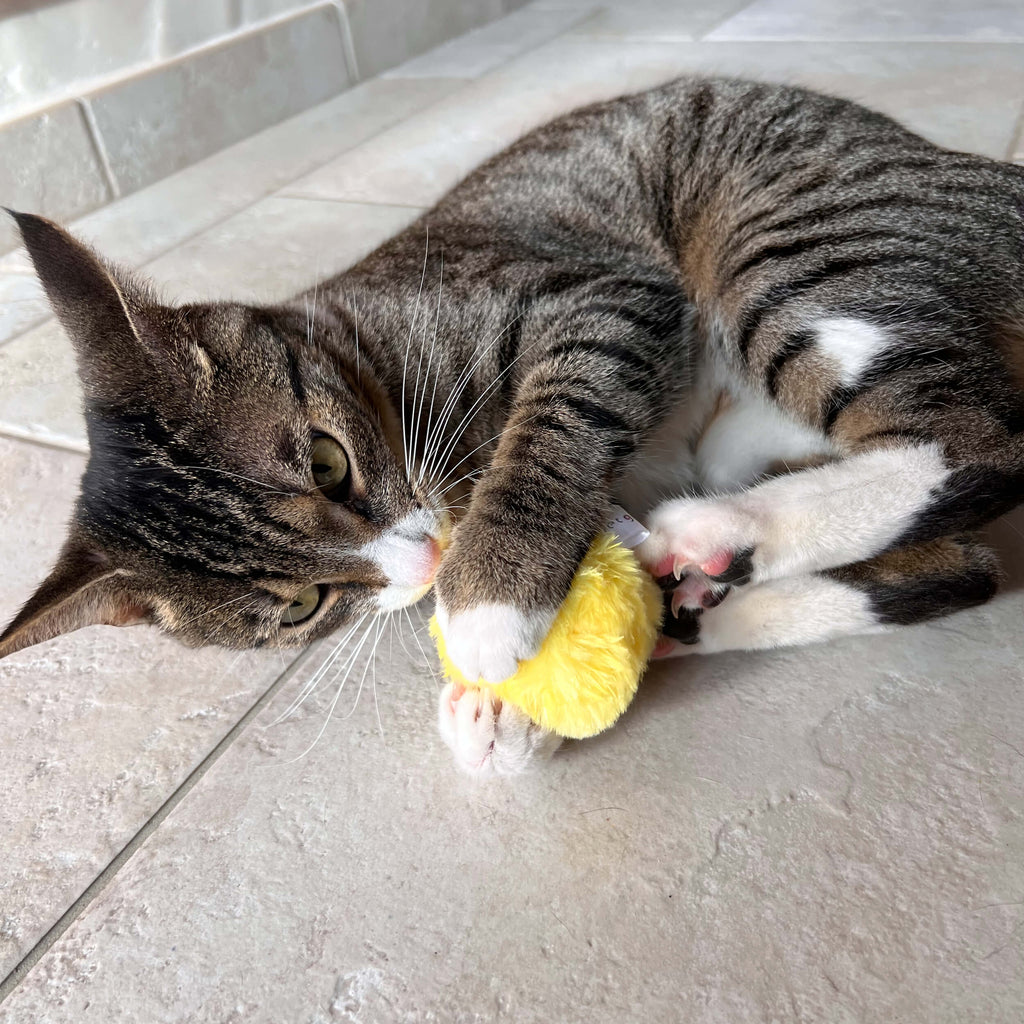 Balle Interactive pour Chat CutePet™