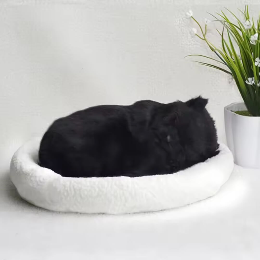 Peluche Chat Réaliste Chat'Zen™