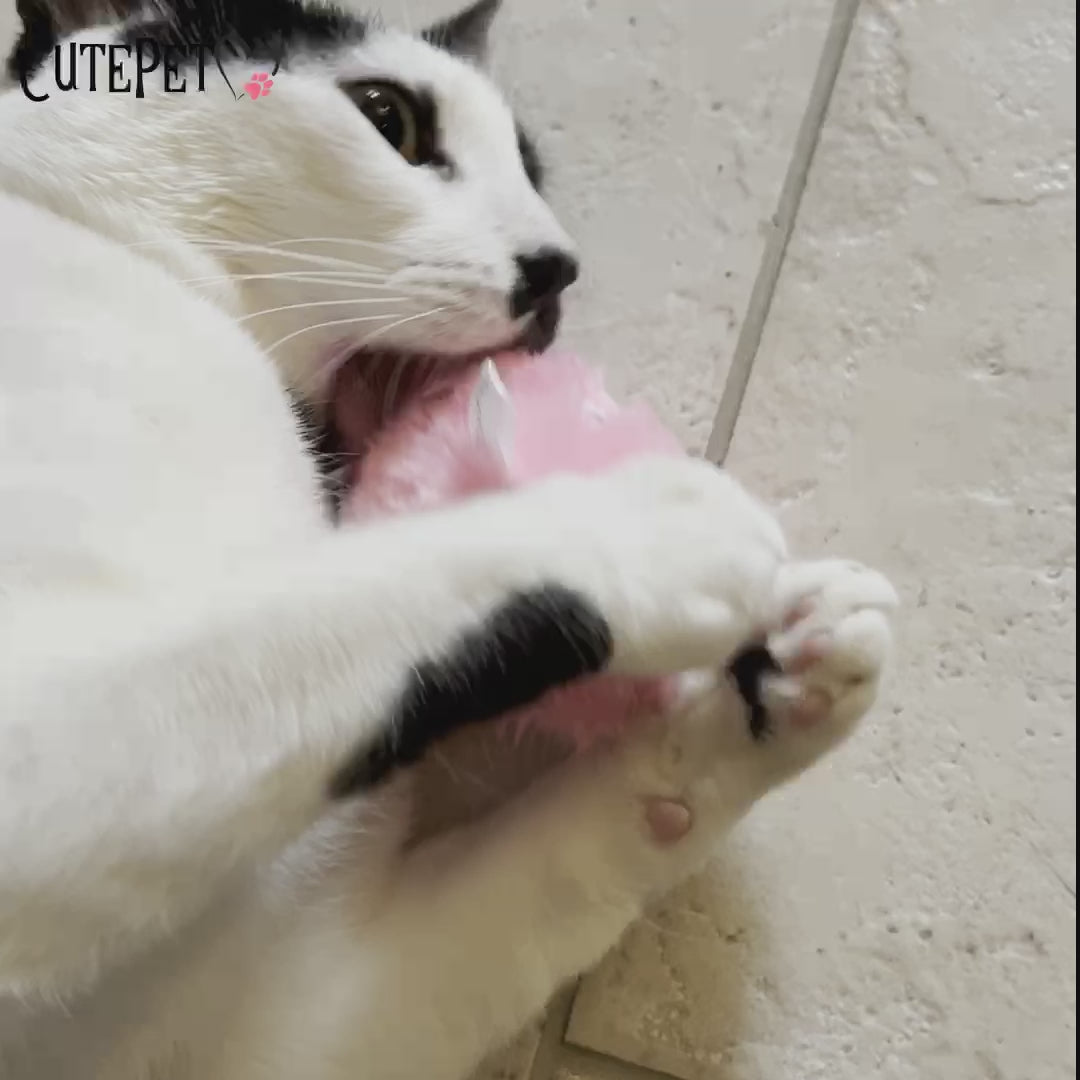Vidéo
