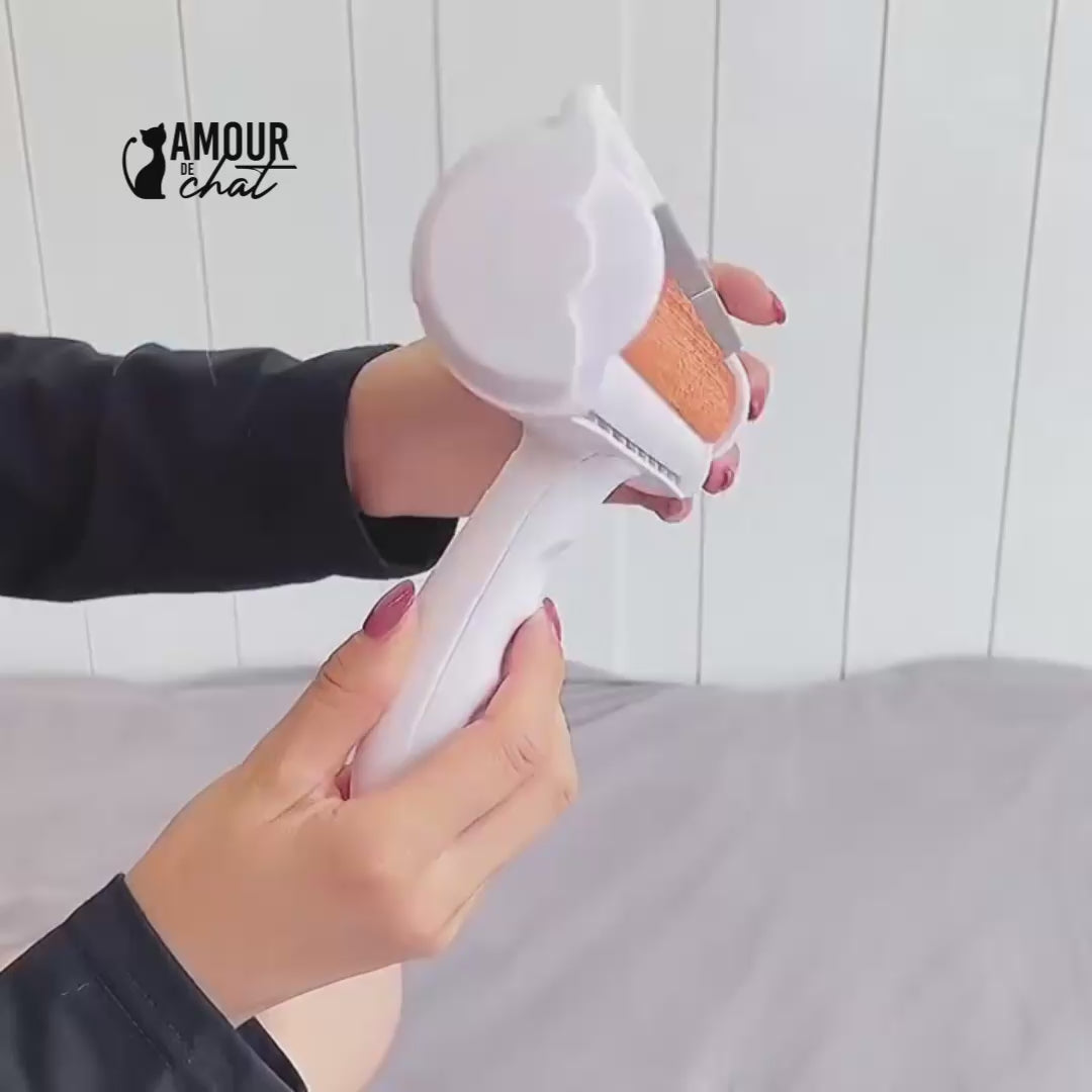 Vidéo
