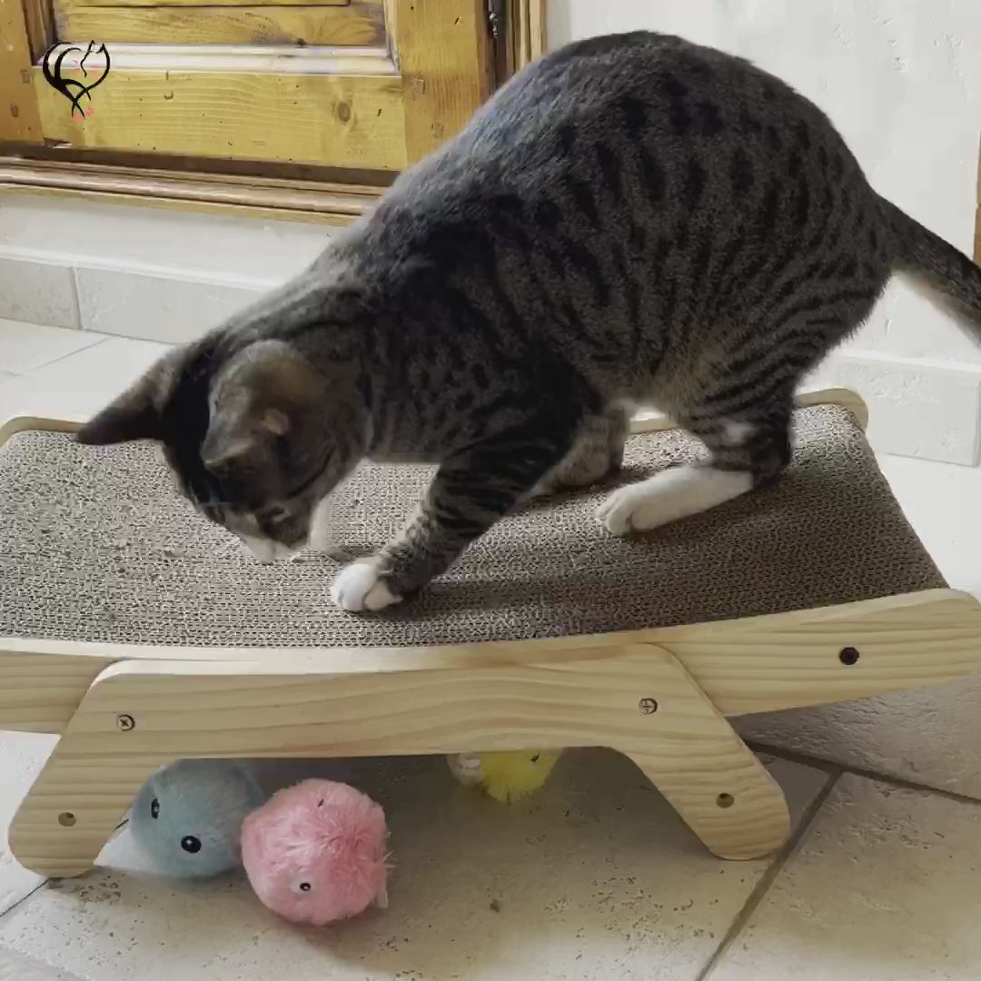 Vidéo